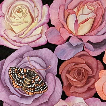 Endangered Checkerspot Butterflies and Roses Watercolor Illustration Fine Art Print